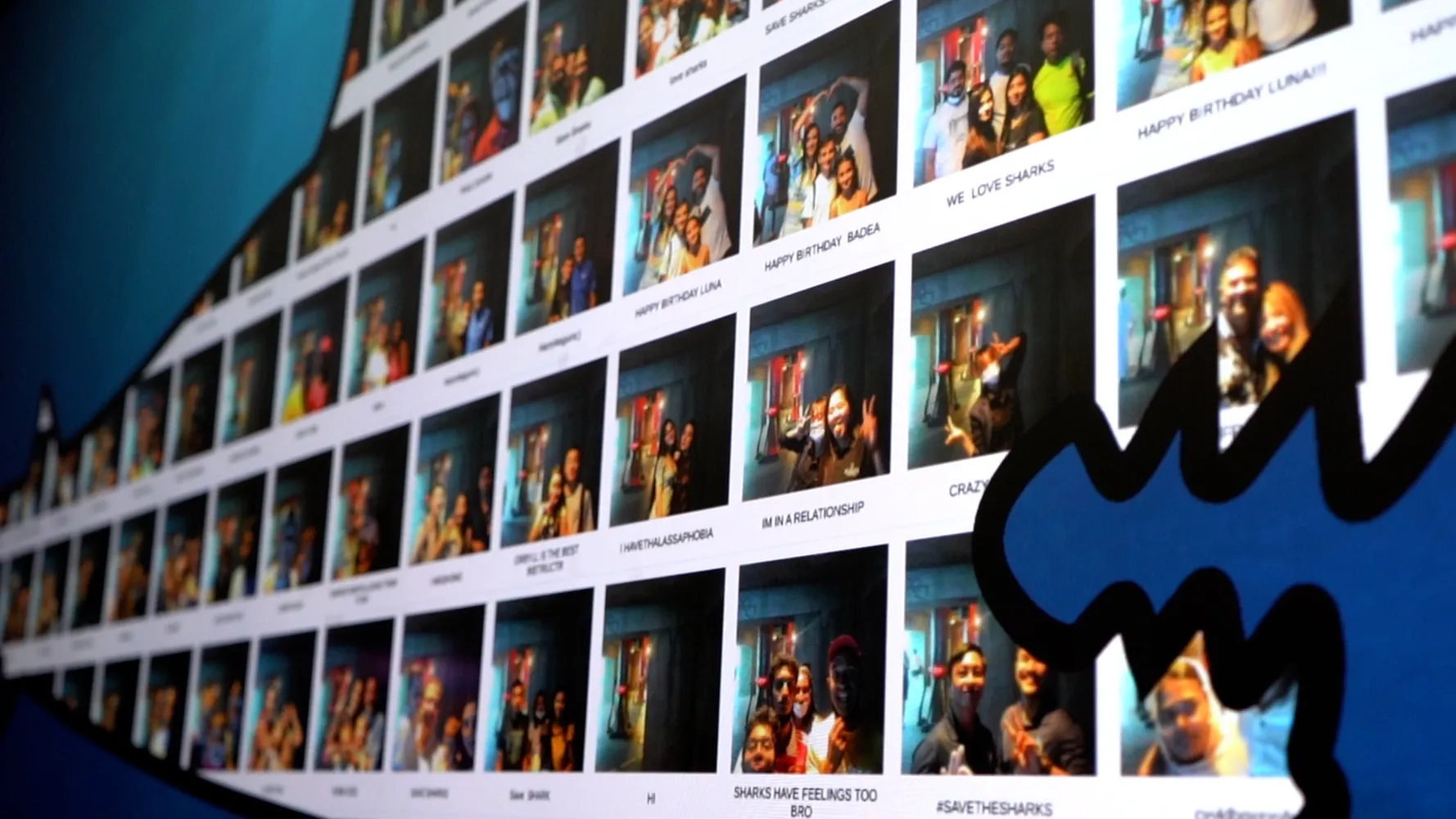 Shark Week at Atlantis - Challenge